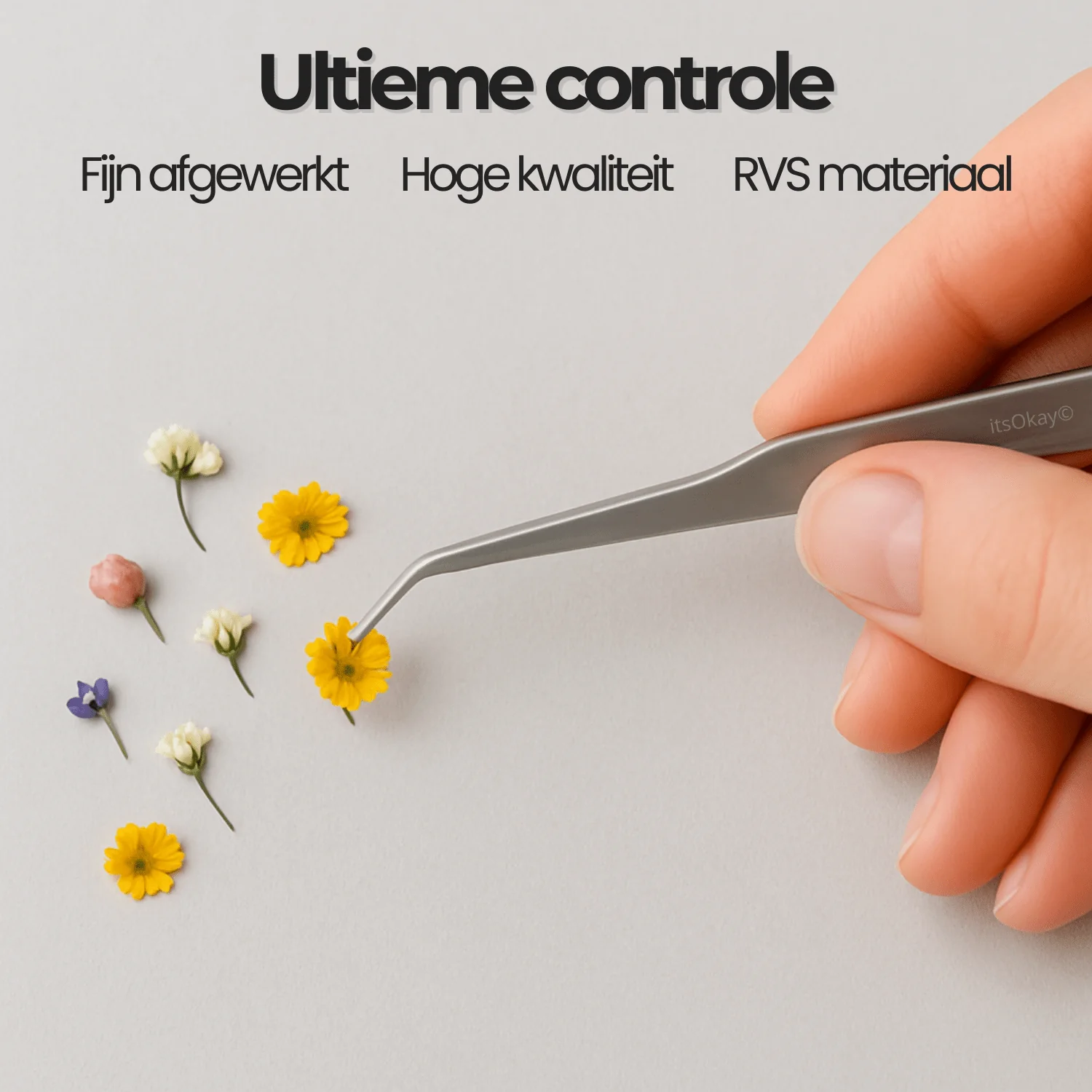 Miniatuur 2