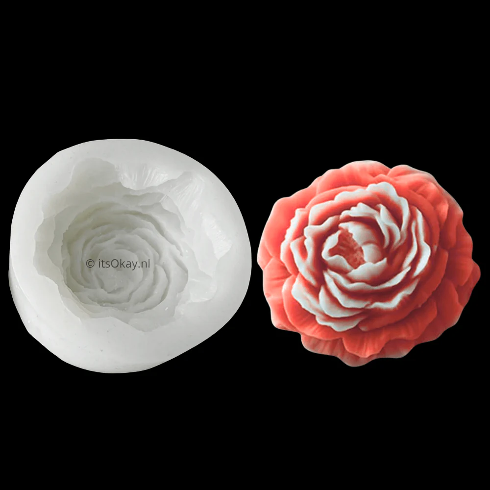 Miniatuur 1